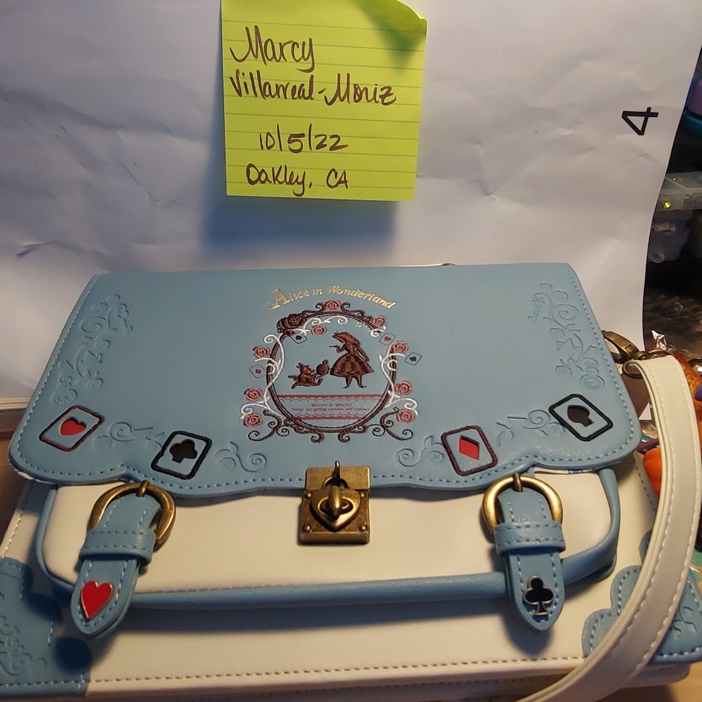 Sleeping Beauty purse